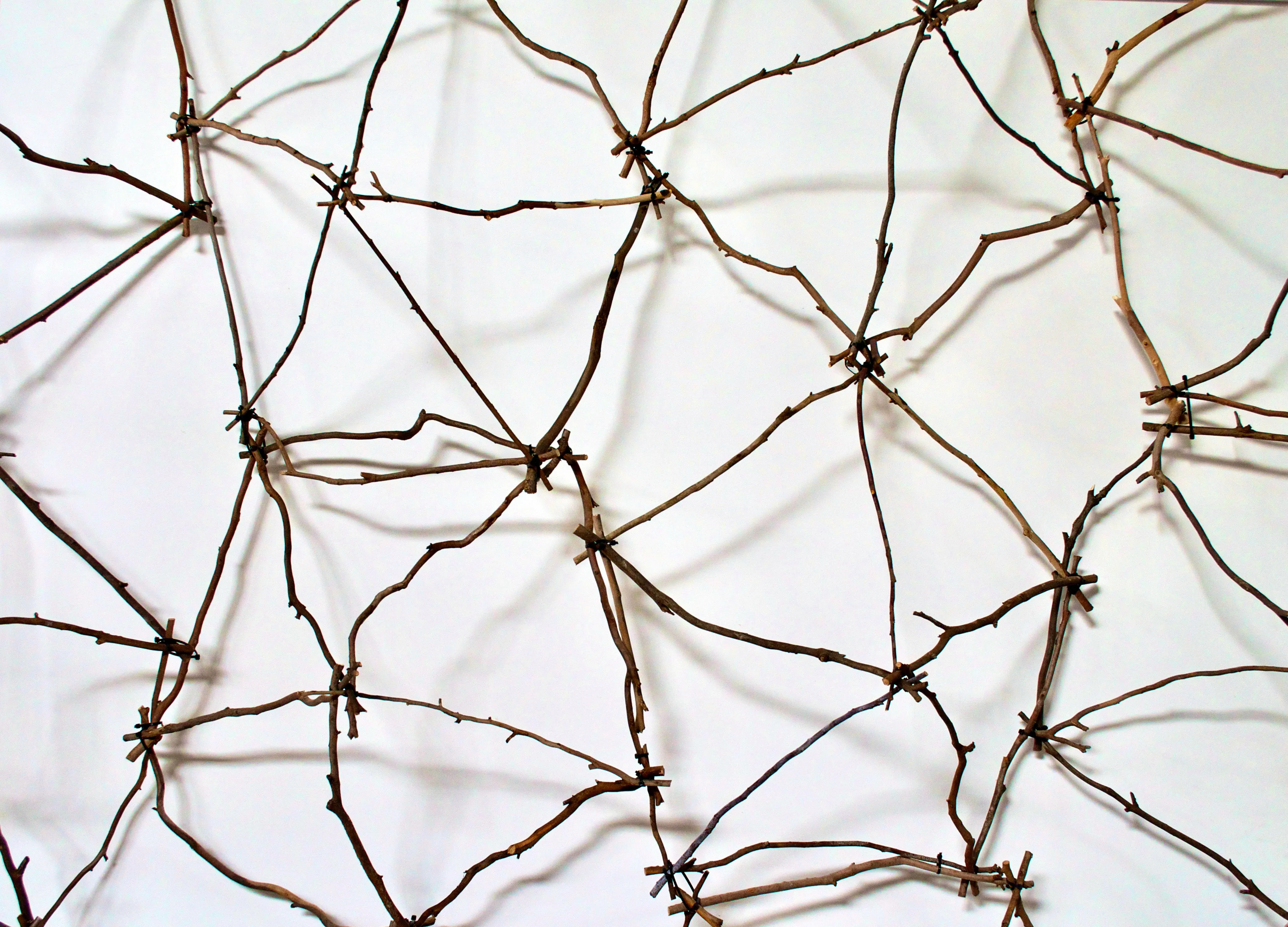 Twig (detail 3)